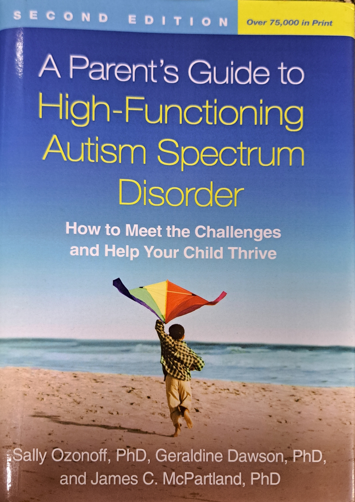Cover image for A parents guide to high-functioning autism spectrum disorder : How to meet the challenges and help your child bibliographic