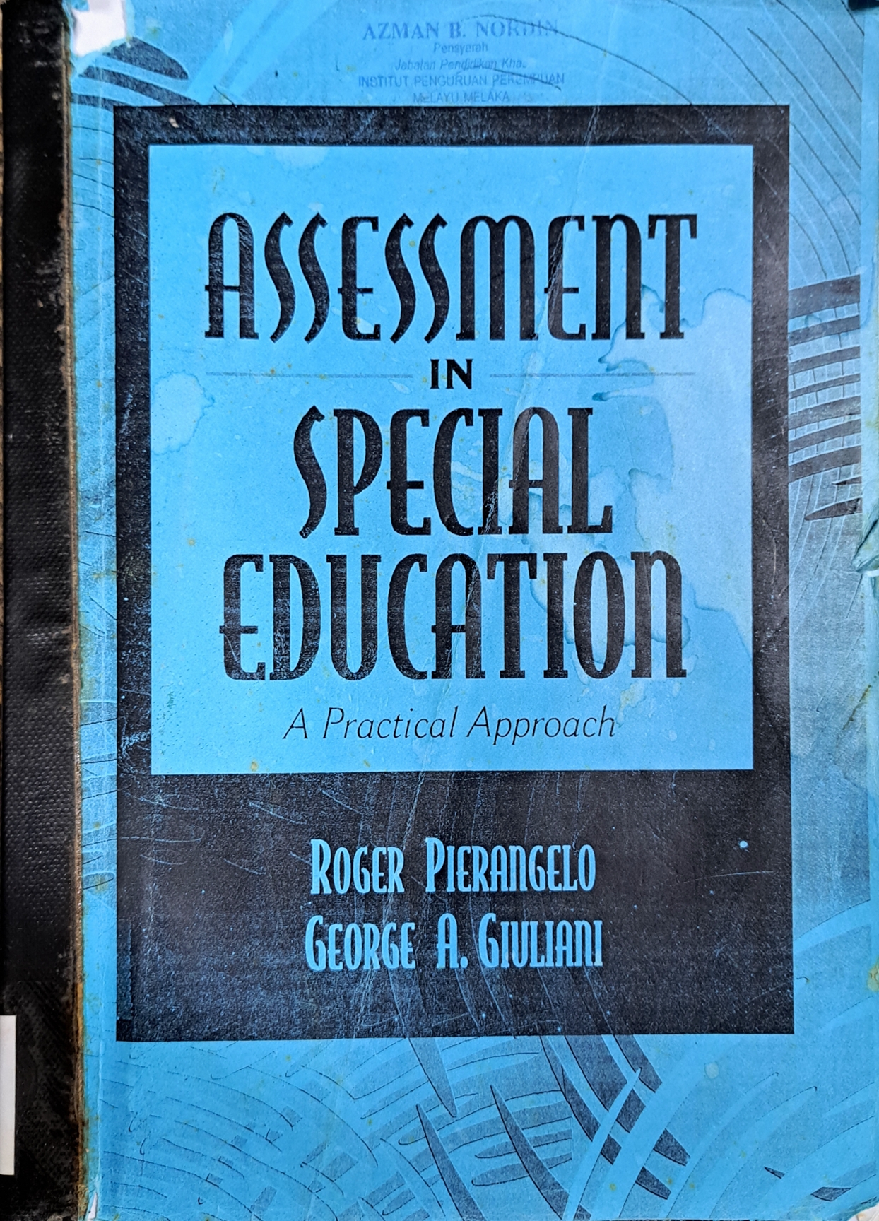 Cover image for Assessment In Special Education : A Practical Approach bibliographic